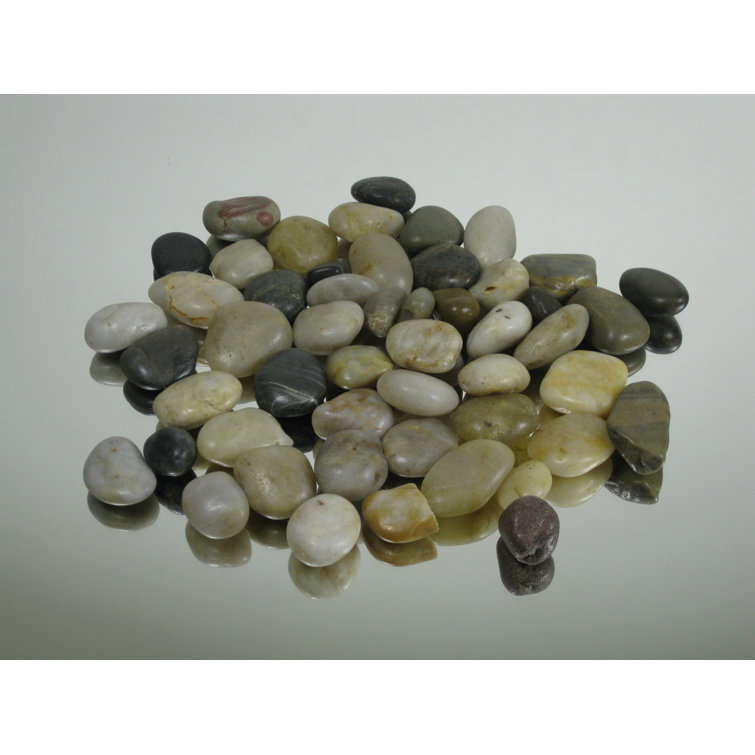Wrought Studio Decorative River Rocks Vase Fillers & Reviews Wayfair